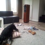 Foto van Mittens Montgomery