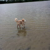Foto van Marissa & Zuko