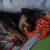 Foto van Rob