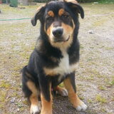 5 maanden
