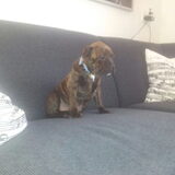 Foto van Elly