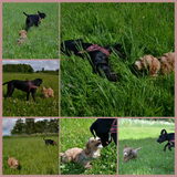 Met grote pubervriendin Nicky
