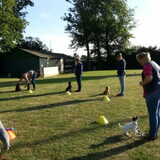 Puppycursus