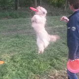 Foto van carla en cyra