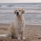 Egmond aan zee, 28-06-2014
