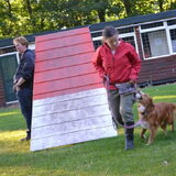 Foto van Sigrid, Sandy, Diva & Nala