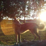 Jairo