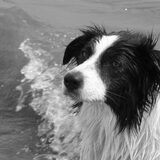 Foto van Jeanine :)
