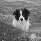 Foto van Jeanine :)