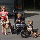 Foto van linneke