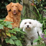 Jayla en Masha