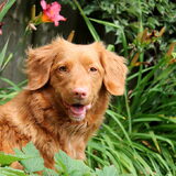 Foto van judith