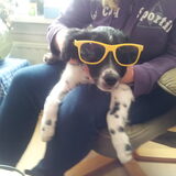 Foto van Michelle & Bentley
