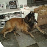 Knappe meid!