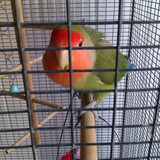 Jacky :)