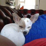So sleepy