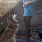Foto van Joyce van Suka en Aiko