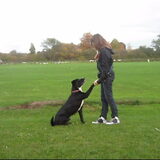 ik en tommy