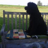 Foto van sylvia