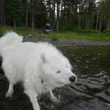 vakantie in zweden 2014