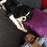 Bowie met Meneer