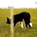 Skeip, 20-07-2014