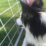 Foto van Ziva < 3