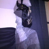 Foto van Linda; Roxy & Buddy
