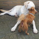 Foto van esther
