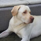 Foto van esther