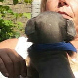 Foto van esther