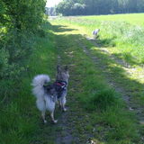 Foto van Lady & de (ex-)Vagebond