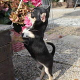 Foto van esther