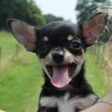 Foto van esther
