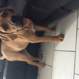 Foto van theo