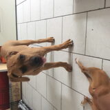Foto van theo