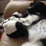 Foto van Michelle & Bentley