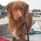 Foto van Luan en Lenne