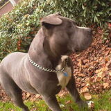 Hier is Tank 10 maanden...