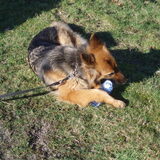 Hertha is met het flesje aan het spelen.