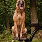 Foto van De Mecheltjes clan