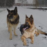 Hertha en Kazan samen op de foto.