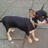 Foto van esther