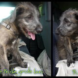 Foto van Jeanine :)