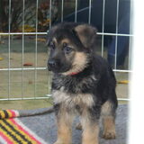 Hier is ze nog 5 en een halve week oud.