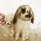 Foto van Angelique; Bruno, Charlie & Fenna