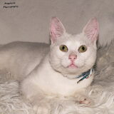 Foto van Angelique; Bruno, Charlie & Fenna