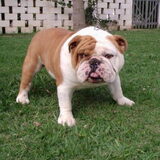 Onze Rafael