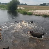 Foto van Tamara
