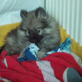 7 weken, 1e uur met de baby